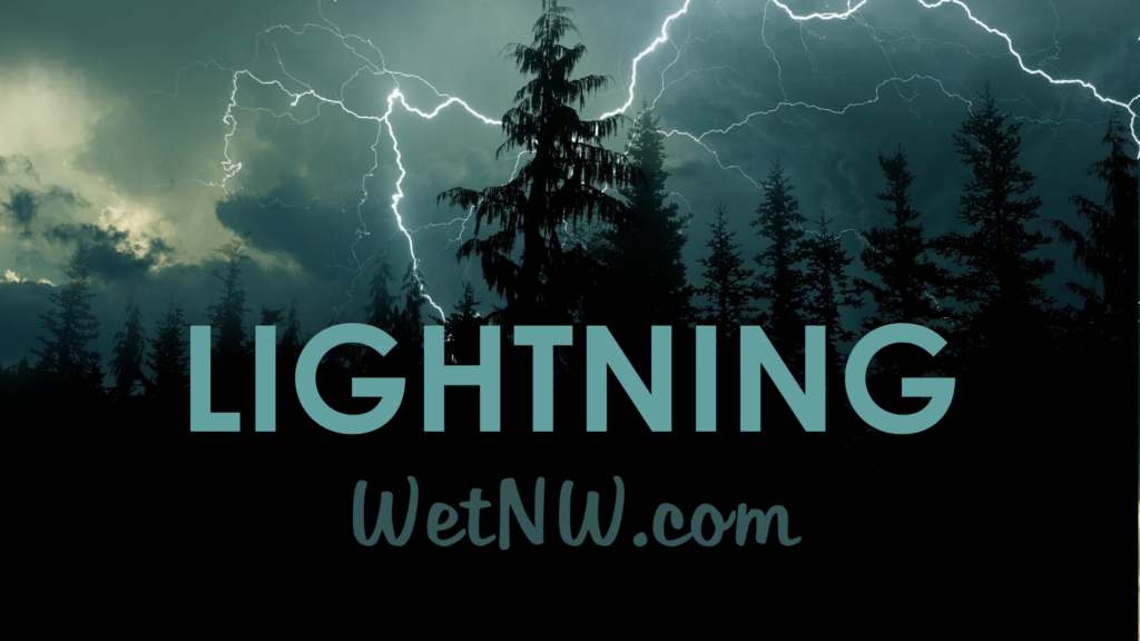 moody photo of lightning bolts flashing above evergreen tree forest silhouettes at twilight evening sky stamped with the word LIGHTNING and WetNW.com