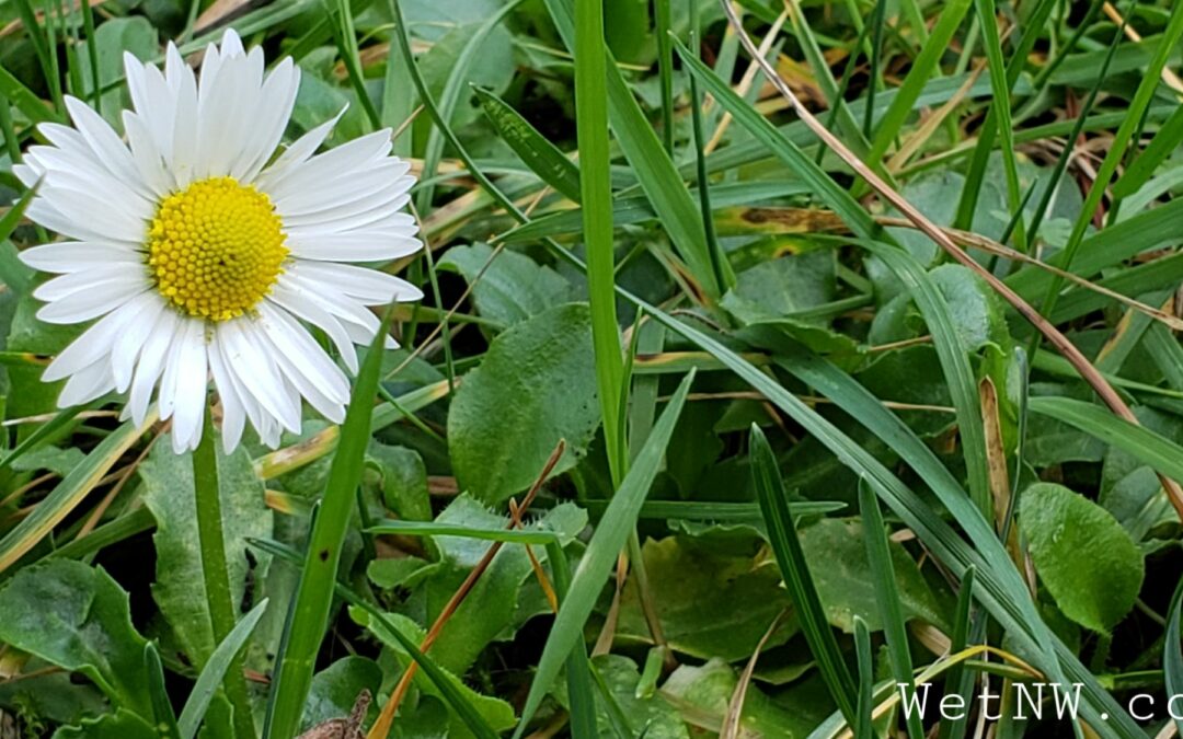 Winter, Spring, Wind, Hail